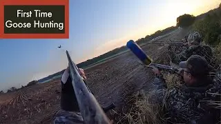 Goose Hunting 101 - Learning to hunt while getting our 8-man limit