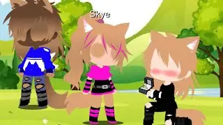 Chase save skye