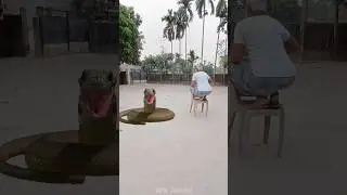 Nagin 🐍 Snake funny video #viral #vfx #shorts