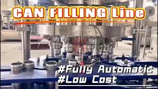 Low Cost Can Filling Line Automatic For carbonated soft drink Filling machine