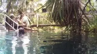 Bitter Springs, NT