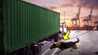 Police Dog Rushed to This Shipping Crate &mdash; The Stench Tells Cops Something Is Wrong!