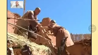 أخطر عصابة في سرقة البيض هي تريكت حديدان هههههه