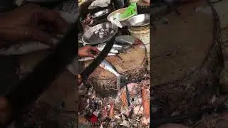 Flying fish cutting skills. #fish #shorts