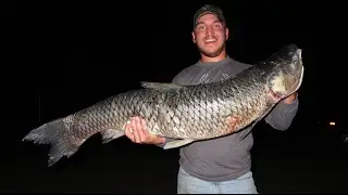 BOWFISHING | PA STATE RECORD CARP??