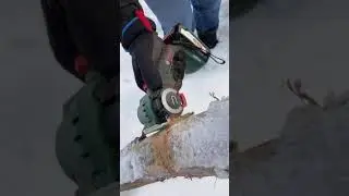 Testing a chain saw cordless BOSCH EasyCut 12 NanoBlade \ Тестируем Пилу цепную аккумуляторную