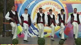 XVI ОМФС 