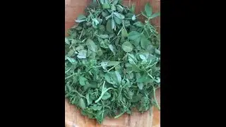 How to keep Fenugreek Leaves (Methi Bhaji) fresh in refrigerator