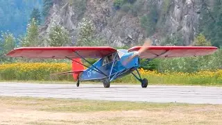 De Havilland DH.80A Puss Moth CF-AVA Approach and Landing