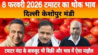8 Feb 2026 Delhi 🍅 टमाटर होलसेल भाव | Keshopur Mandi | Today Tomato Rate #tamatar #tamatarmandi