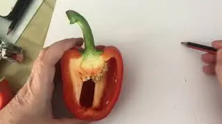 Draw bell pepper -2 inside