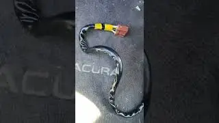 1999 Acura tl stalling while driving. Pt. 2