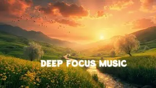 Background Nature Sounds for Better Study Focus | Tails Study Flow