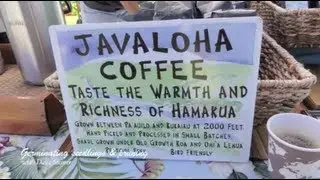 ThruJimsEyes - COFFEE GROWING STAGE 1: 