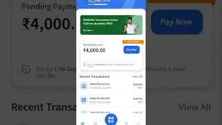 ring pay later bad update