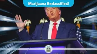 Trump's Game-Changing Marijuana Reclassification: A New Era for Cannabis Industry