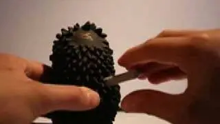 Animation: Living Toy