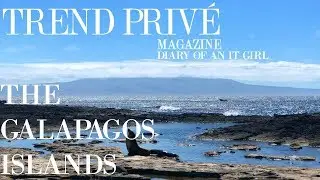 THE GALAPAGOS ISLANDS-THE MOST MIND BLOWING PLACE ON EARTH