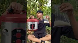 Survival skills: cooking rice in an emergency in the wild🍚 #camping #survival #bushcraft #outdoors