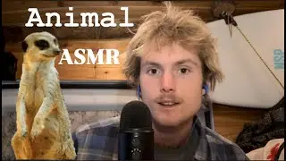 Факты о животных ASMR