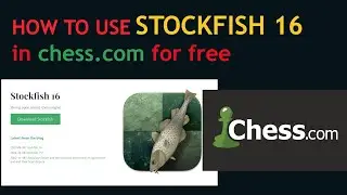 КАК использовать STOCKFISH 16 в CHESS.COM #stockfish #chessengine