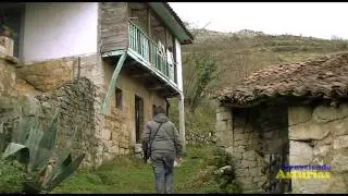 Santo Adriano del Monte