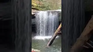 Dog Slaughter Falls Daniel Boone National Forest #waterfall