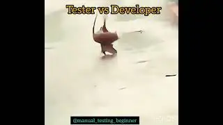 Do subscribe you can get lot of openings...Instagram:-@manual_testing_beginner #qa #softwaredevelop