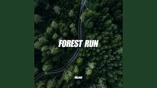 Forest Run