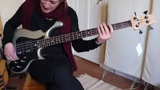 Enfield Lionheart Custom Live Demo - BassFreaks.net
