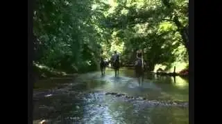 Reiten in der wildromantischen Toskana mit PFERD & REITER