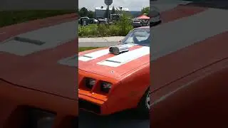 1980 Pontiac Firebird/ Second Generation/ Sleek Coupe/ Long Hood/  Fastback Rear #shorts