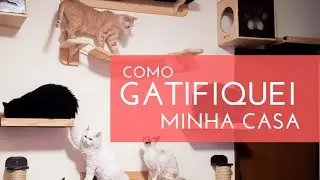 Como Gatifiquei minha Casa | Gato é Vida #gatoevida