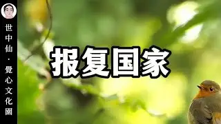 世中仙 | 报复国家