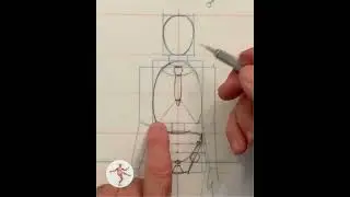 Anatomy for artists - Rib Cage 101: Key Landmarks