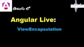 Live :view Encapsulation in angular  || Angular: Comprehensive Guide in Telugu
