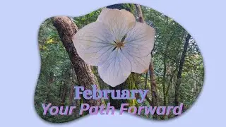 tׁׅɑׁׅ֮υׁׅꭈׁׅυׁׅ꯱ׁׅ֒  | February Portal Messages 💙 | You are worth it. #taurustarot   #february2026