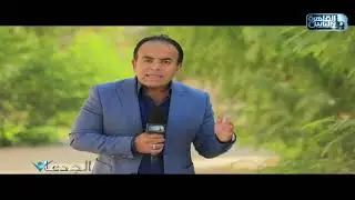 صناعة الدواجن في مصر تواجه تحديات عنيفة والسبب هو عدم توافر الدولار لاستيراد مستلزماتها
