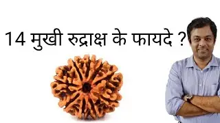 सब सुख मिलता है 14 मुखी रुद्राक्ष से, 14 मुखी रुद्राक्ष के फायदे, 14 mukhi rudraksha ke fayde