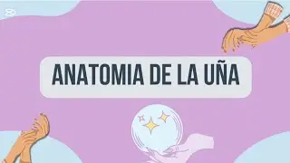 Anatom&iacute;a de la U&ntilde;a, Funciones y como Cuidarlas.