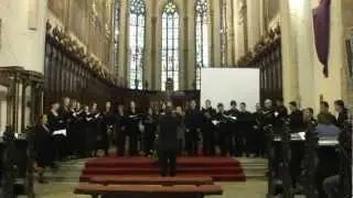 Tirnavia - Beati quorum via ( Stanford )