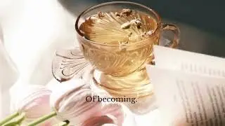 A Quiet Beginning | Evolve with Ayesha