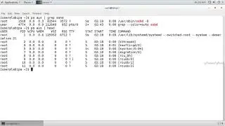 How to Kill  Process in Ubuntu & Other Linux Distributions  how to check running process in linux