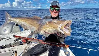 Monster Sharks and Cobia Catch & Cook (The Craziest Thing I&rsquo;ve Ever Done)