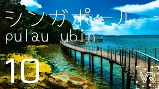 5K 360&deg; VR - Singapore - Pulau Ubin Sensory Trail