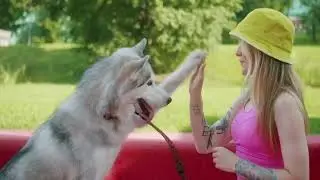 How To Measure Your Dog's Cognitive Skills Before Training