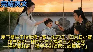 【完結】産下雙生子後我帶小寶亡命天涯，回京日小寶撞見容貌一樣的小世子，攝政王大步走來一把將我扛起「帶兒子逃這麼久該算賬了！」#一口气看完 #小说 #故事 #有声小说 #熱門小說 #情感 #暢銷小說