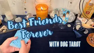 Best Friends Forever Pick a Pile Tarot Reading with Dog Tarot
