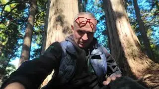 Гора Курама. Священне місце для Японців. Місто сили, святилище Рейкі