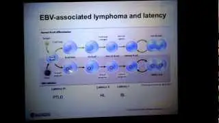 Nourse JP (2012): Latent viral infections, mechanism of latency, pathogenesis and oncogensis
